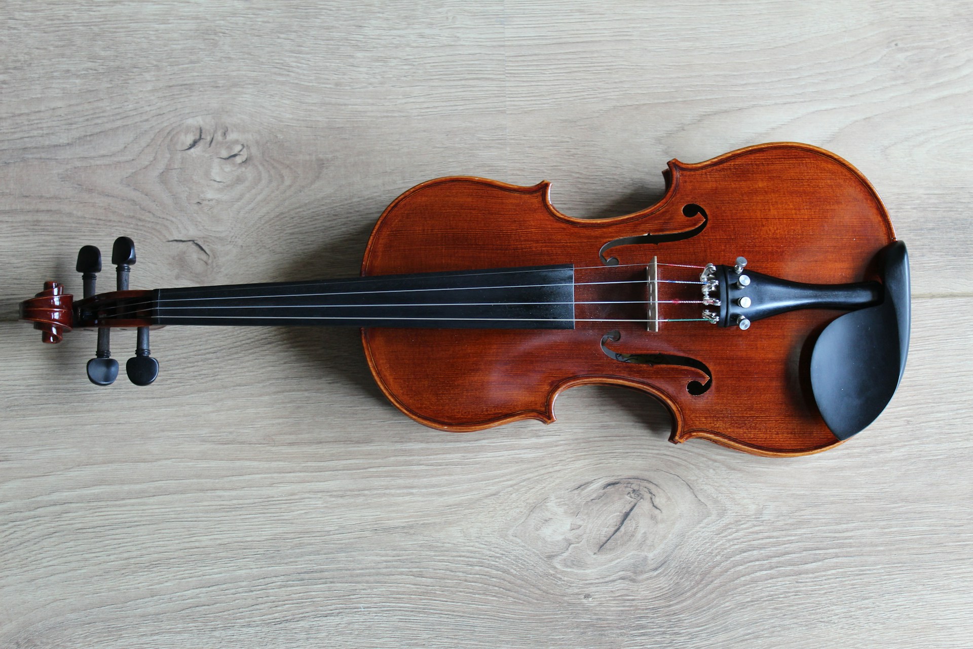 Violon